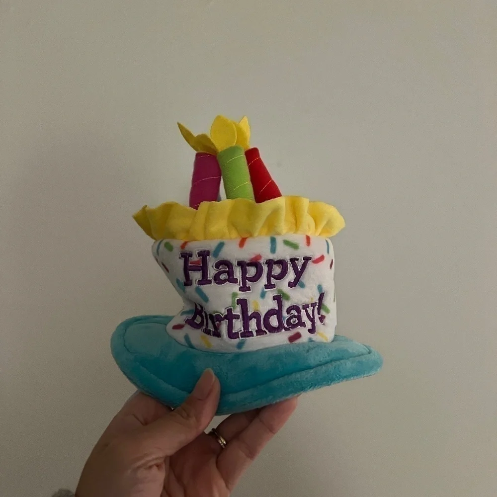 3/$25 Chewy Frisco Birthday Cake Dog & Cat Hat
